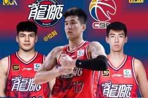 lol-包含CBA季后赛倒计时；多伦多猛龙转会期完成体检；细节引发关注；媒体盛赞；阵容厚度经受考验的词条